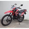  Forte CROSS 250